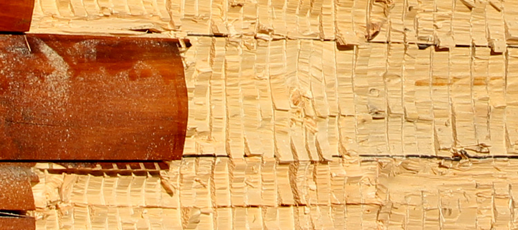 Log Home Face Restoration  Burgaw,  North Carolina