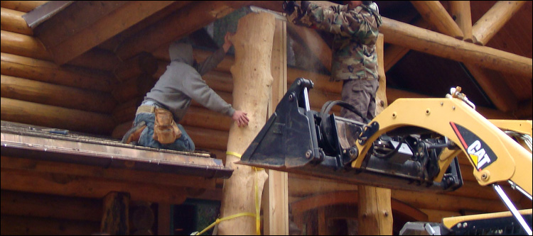Log Home Log Replacement  Currie,  North Carolina